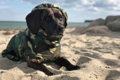 SICCARO Hundemantel WetDog Spirit -Wuff Wohnen Verkäufe wdh 020202s.pt06 2