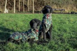 SICCARO Hundemantel WetDog Spirit -Wuff Wohnen Verkäufe wdh 020202s.pt07 2