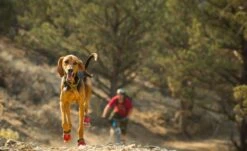 Ruffwear Grip Trex - Set Of 2 - Red Currant -Wuff Wohnen Verkäufe web 25502 top rope collar meadow green mountain biking 03.7a34fa61b820