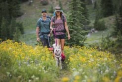 Ruffwear Palisades Pack Red Currant -Wuff Wohnen Verkäufe web 50202 palisades pack red currant hiking 10.aa8dcd60bfd0